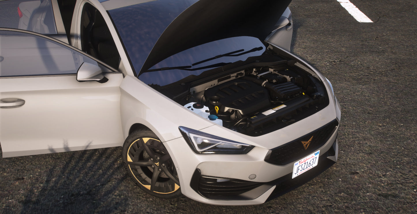 (Debadged + Badged) Cupra Leon 2021