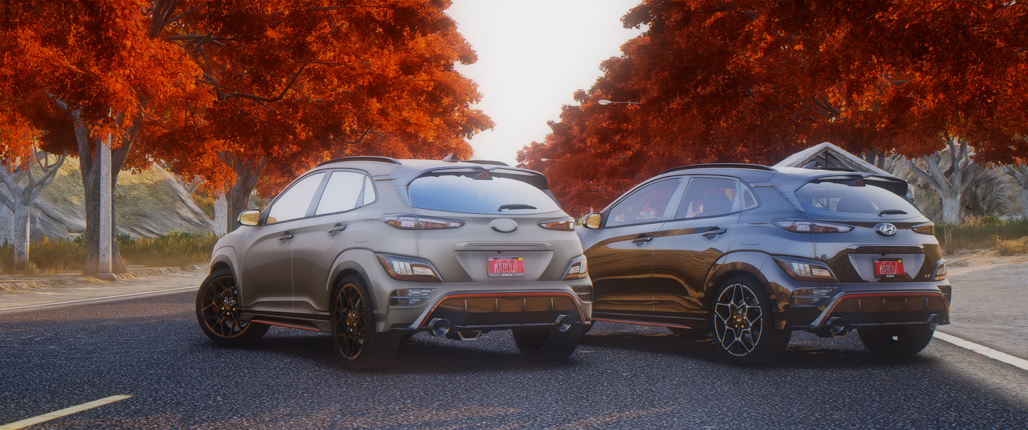 (DeBadged/Badged) Hyundai Kona N 2022