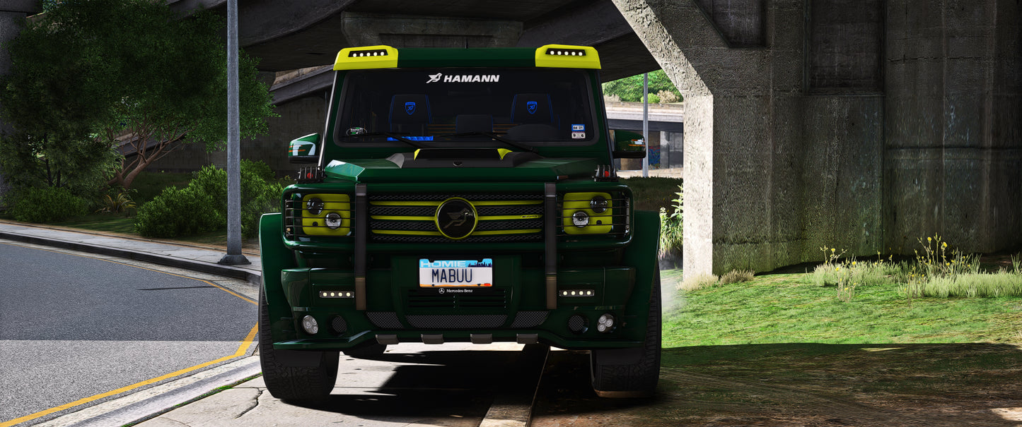 Mercedes Benz G63 W463 Hamann